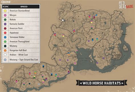 Red dead 2 horse locations - The Morgan Horse is one of the Horse Breeds featured in Red Dead Redemption 2 and Red Dead Online. Morgan Horse Description: Morgan horses are considered to be low maintenance and make the perfect horse for long journeys and pull carriages or carts. Morgans are classed as riding horses.